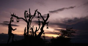 The Art of the Slow Safari: Why “Staying Put” is the Ultimate Luxury